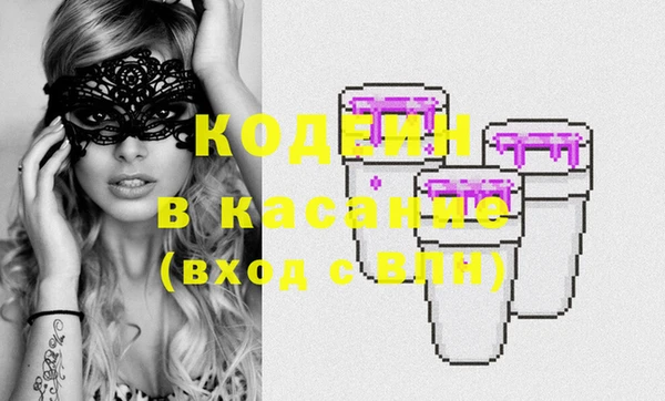 шишки Алзамай