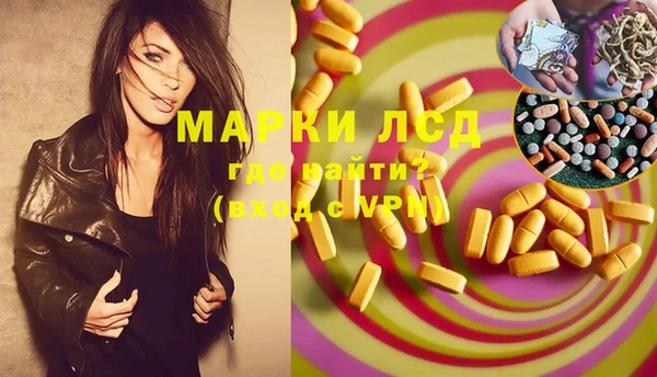шишки Алзамай