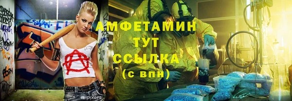 шишки Алзамай