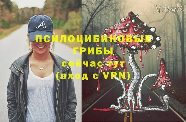 синтетический гашиш Алексин