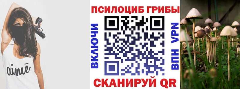 Псилоцибиновые грибы MAGIC MUSHROOMS  MEGA зеркало  Элиста  продажа наркотиков 