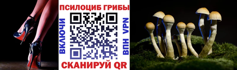 Псилоцибиновые грибы мухоморы Элиста