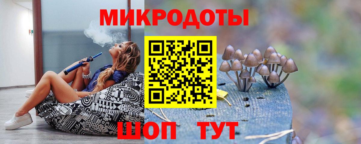 Галлюциногенные грибы Magic Shrooms  Галлюциногенные грибы Cubensis  Вход с VPN  купить наркоту  Элиста 