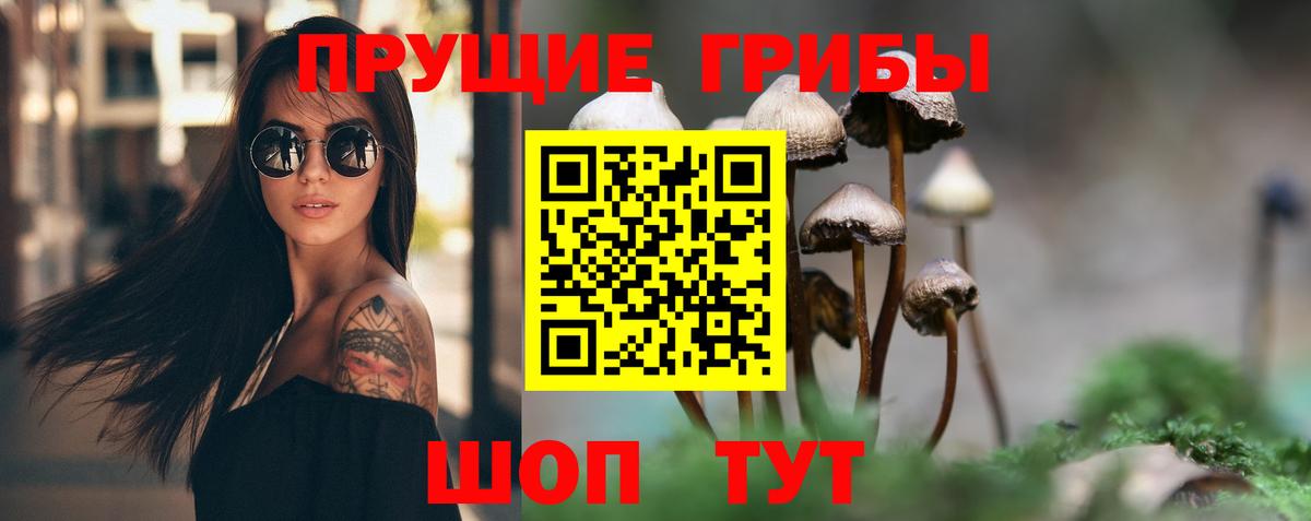 Галлюциногенные грибы мухоморы Элиста