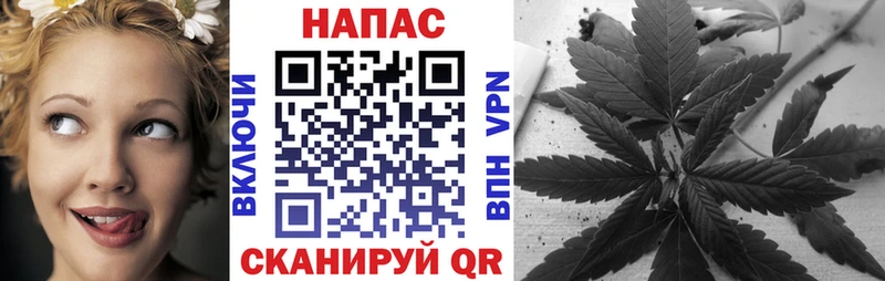 где купить наркоту Элиста Марихуана White Widow