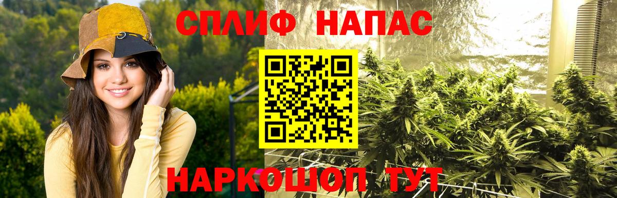 Канабис SATIVA & INDICA  Бошки Шишки MAZAR  Вход с VPN  Элиста 
